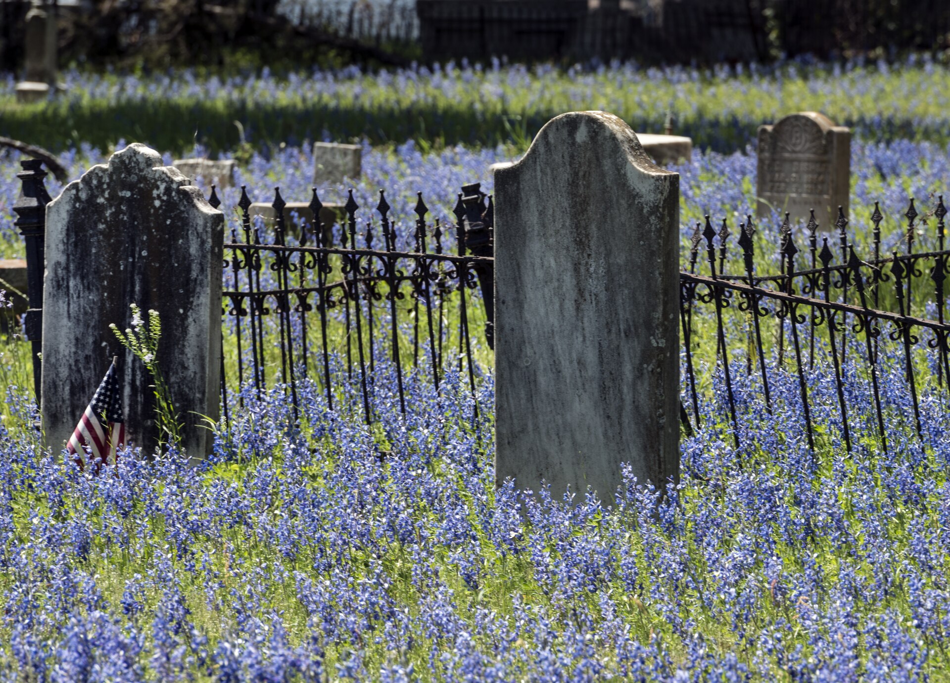 Historic Texas cemetery headstones amid a field of bluebonnets, East Texas — characteristic of the frontier-era burial grounds like Nocona City Cemetery