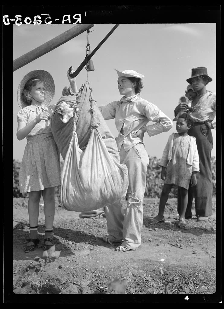 Cotton pickers in Kaufman County, Texas, photographed by Arthur Rothstein for the Farm Security Administration, July 1936, showing the north Texas cotton harvest that was the lifeblood of Montague County's agricultural economy
