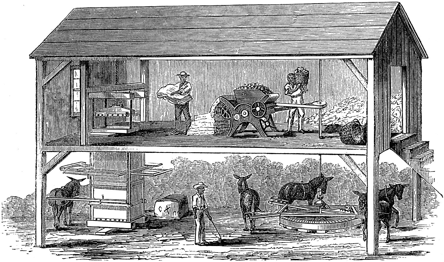 Exterior view of a cotton gin house from the 1870s showing the building type that anchored forty MoCo communities at the 1914 peak of 43,595 bales