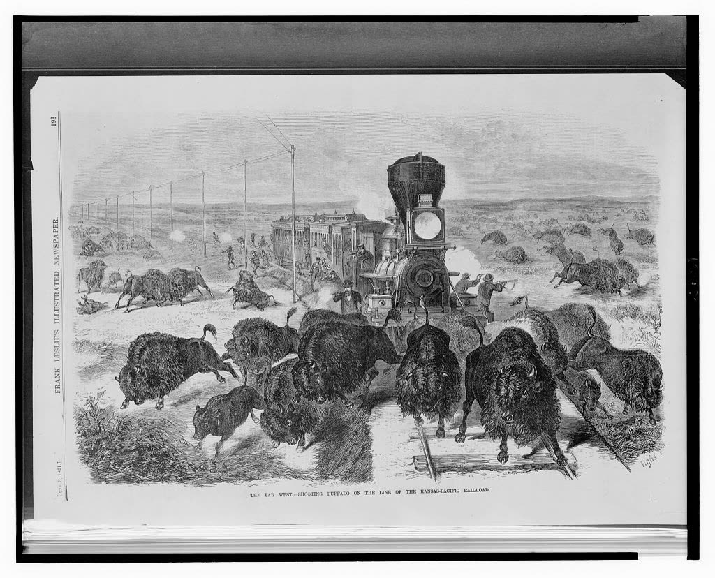 Hunters shooting buffalo from a train along the Kansas-Pacific Railroad, c.1870-1880, depicting the commercial buffalo hunting that eliminated the southern Plains herd and changed the frontier world of Montague County