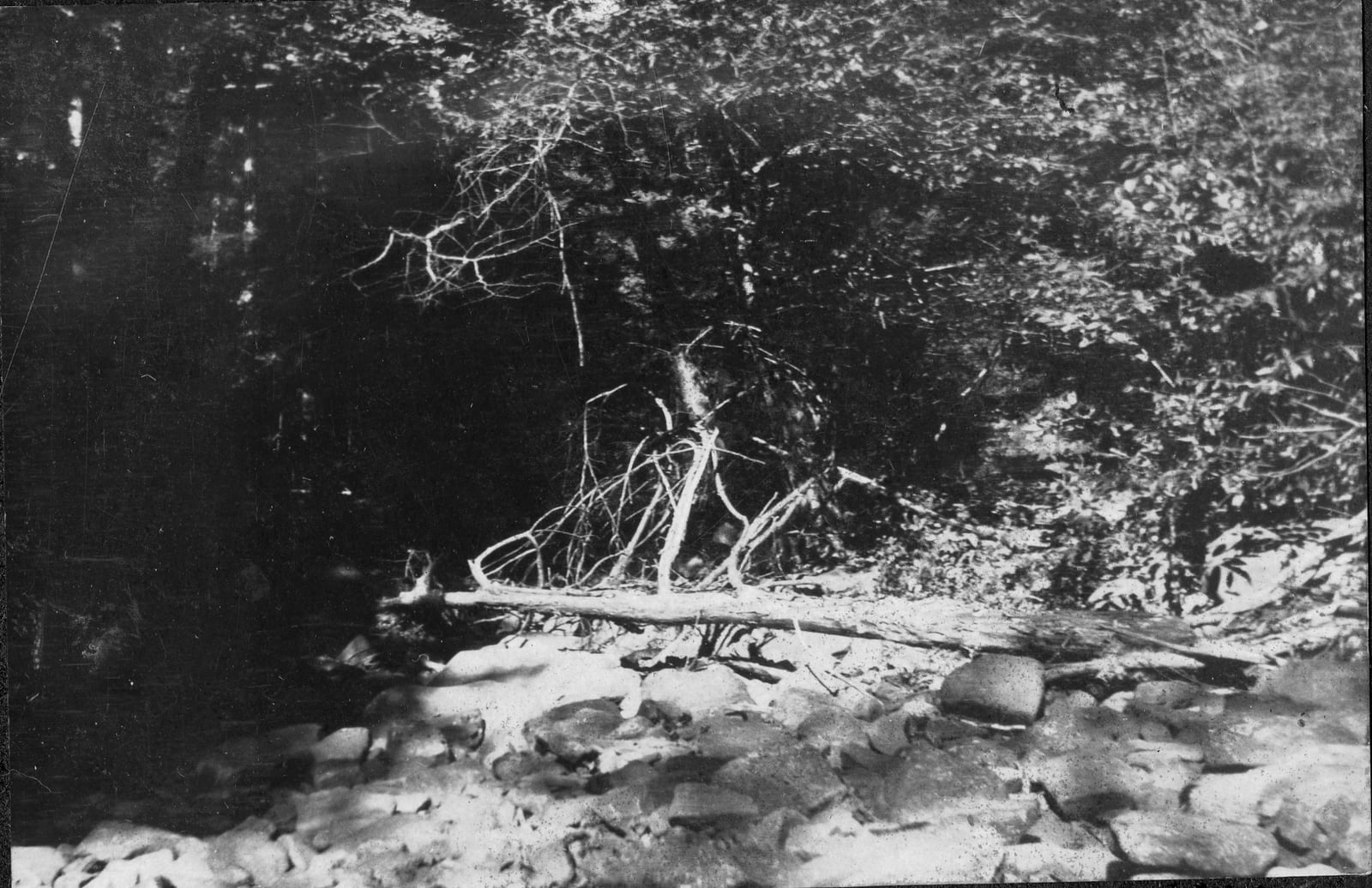 Moonshine still concealed in a West Virginia creek bottom, 1921 — the same hidden-still terrain used in Montague County's Cross Timbers draws during Prohibition