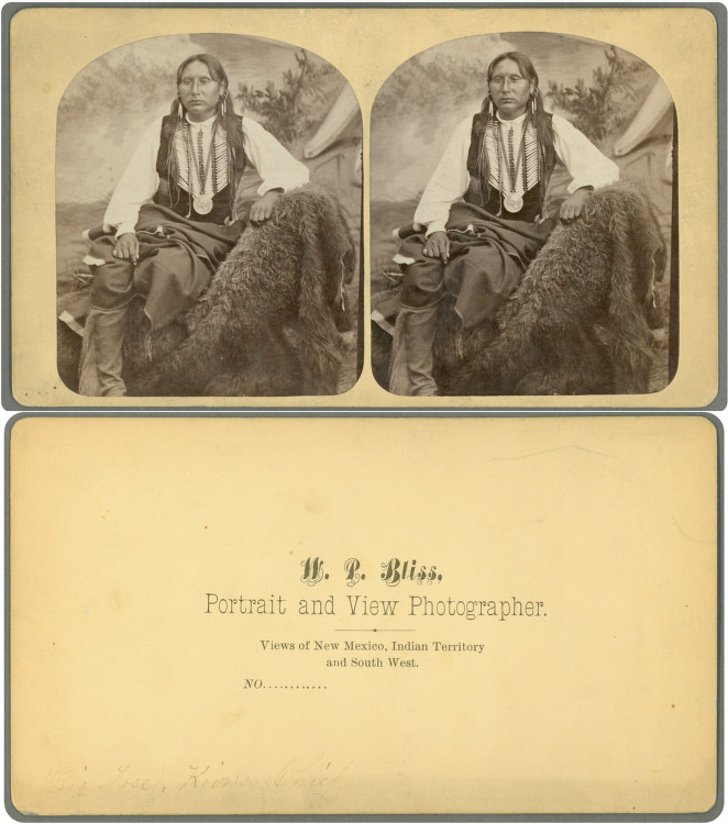 Big Tree (Adoeette), Kiowa war chief, photographed by W.P. Bliss circa 1871–1873 in a stereo card portrait from the DeGolyer Library collection at Southern Methodist University